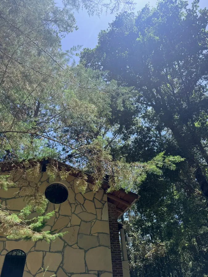 Fachada de piedra de la cabaña entre los árboles